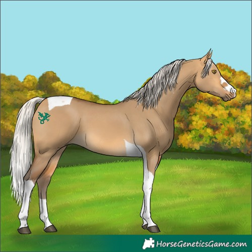 Horse Color:Silver Buckskin Dun Tobiano 