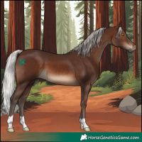 Horse Color:Silver Brown 