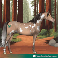 Horse Color:White Spotted Amber Champagne 