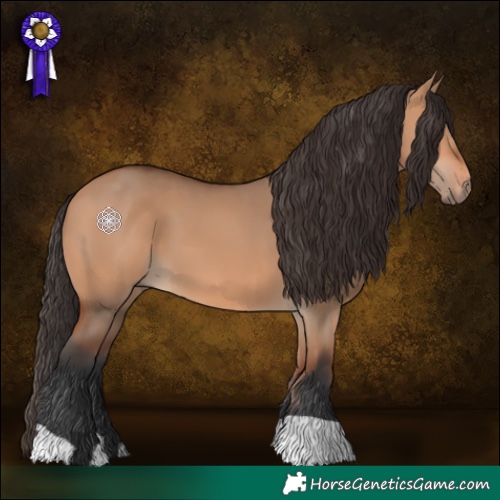 Horse Color:Bay Dun