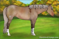 Horse Color:Silver Brown Dun