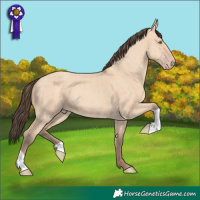 Horse Color:Amber Champagne Dun Brindle
