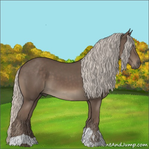 Horse Color:Silver Black 