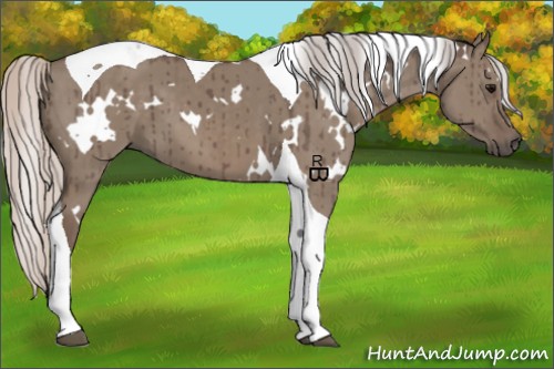 Horse Color:White Spotted Silver Grullo Tobiano Brindle 