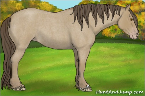 Horse Color:Classic Cream Champagne Roan Rabicano 