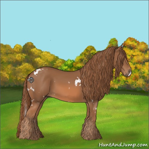 Horse Color:White Spotted Chestnut 