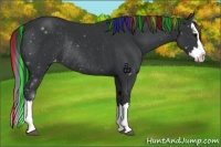 Horse Color:Painted Black Sabino Splash Varnish Rabicano 