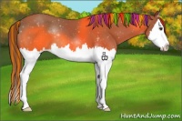 Horse Color:Painted Chestnut Sabino Splash Varnish