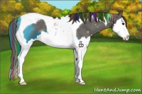 Horse Color:Painted Grullo Sabino Splash Tobiano Appaloosa 