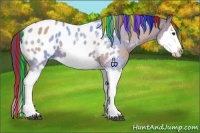 Horse Color:Painted Buckskin Roan Dun Sabino Splash Blanket