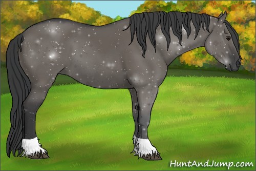 Horse Color:Grullo Tobiano Rabicano 