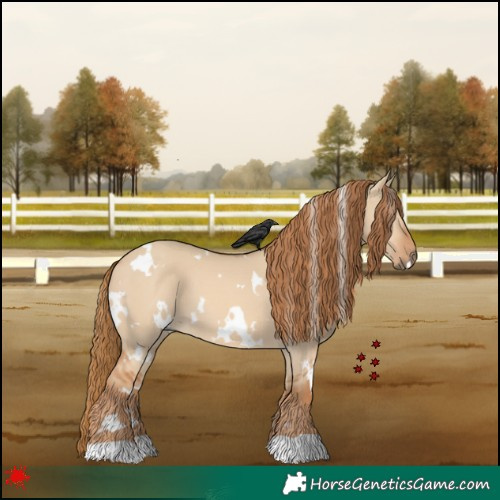 Horse Color:White Spotted Red Dun