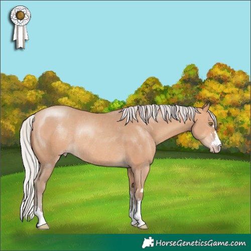 Horse Color:Silver Sable Champagne Rabicano 