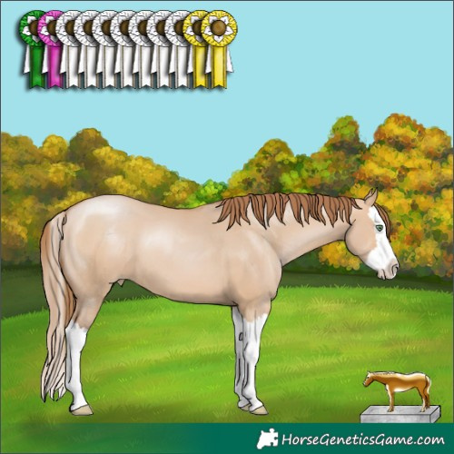 Horse Color:Brown Pearl Dun Splash 