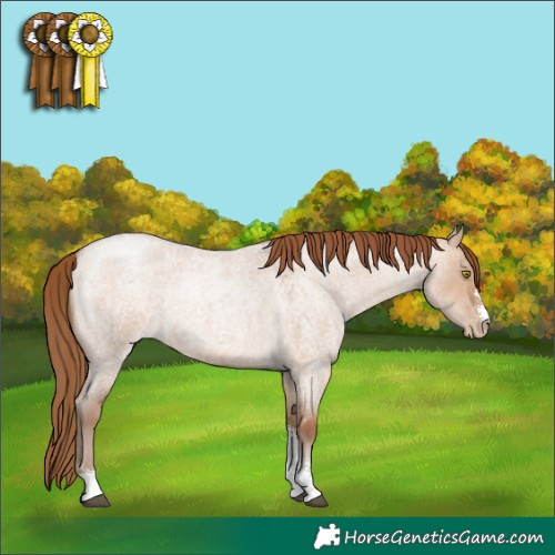 Horse Color:Brown Roan Pearl Dun Sabino