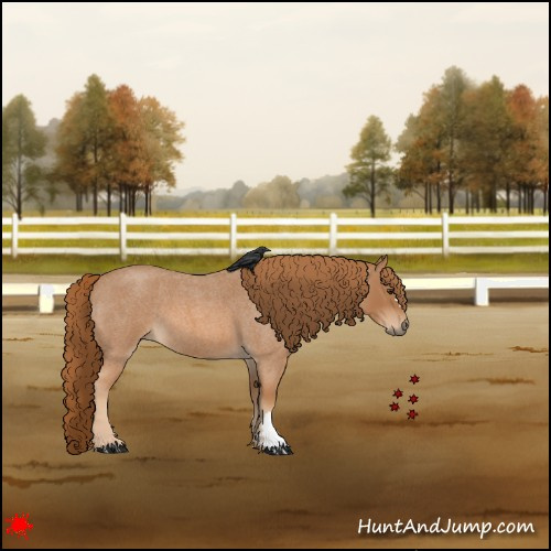 Horse Color:Red Roan 
