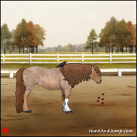 Horse Color:Red Roan 