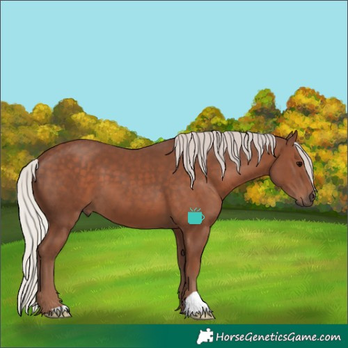 Horse Color:Silver Black 