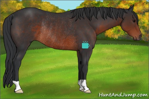 Horse Color:Brown Rabicano