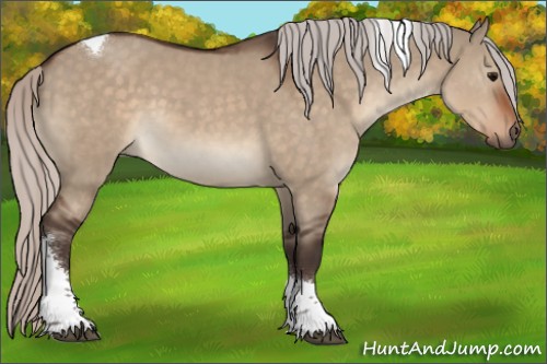 Horse Color:Silver Brown Dun Tobiano