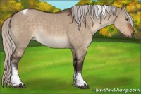 Horse Color:Silver Brown Dun Tobiano 