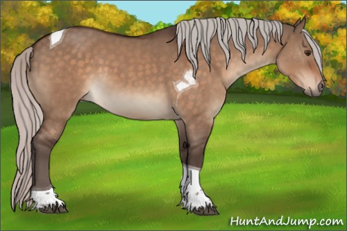Horse Color:Silver Brown Dun Tobiano 