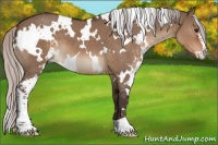 Horse Color:White Spotted Silver Brown Dun Sabino 