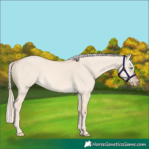 Horse Color:Cremello Dun 