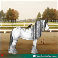 Horse Color:White Spotted Grullo