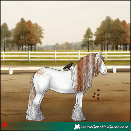 Horse Color:White Spotted Red Dun Splash 