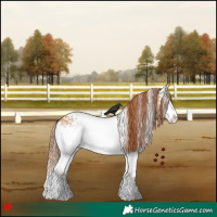Horse Color:White Spotted Red Dun Splash 