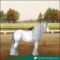 Horse Color:White Spotted Grullo Sabino Splash