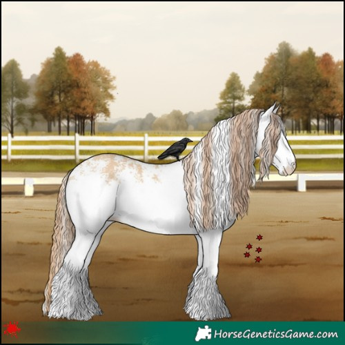 Horse Color:White Spotted Red Dun 