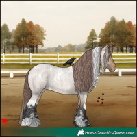 Horse Color:White Spotted Bay Roan Dun Varnish 