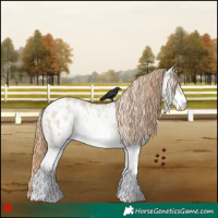 Horse Color:White Spotted Red Dun Blanket 
