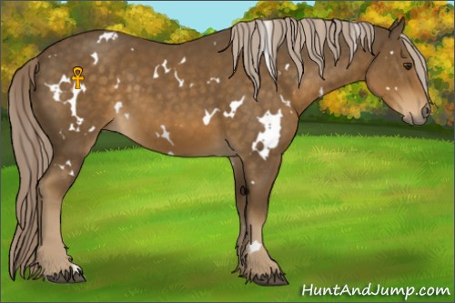 Horse Color:White Spotted Chocolate Palomino