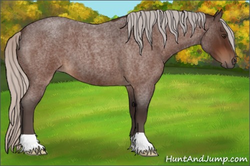 Horse Color:Silver Brown Roan 