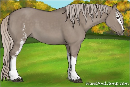 Horse Color:White Spotted Silver Grullo Sabino 