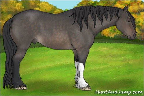 Horse Color:Brown Roan Dun 