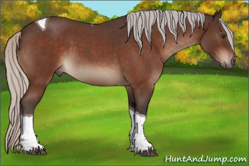 Horse Color:Silver Brown Roan Tobiano 