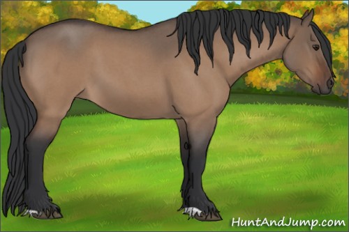 Horse Color:Brown Roan Dun 