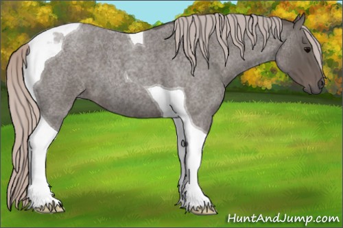 Horse Color:Silver Blue Roan Tobiano 