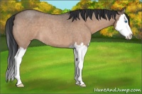 Horse Color:Bay Roan Dun Splash 