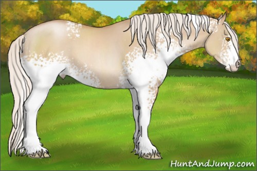 Horse Color:White Spotted Silver Grullo Pearl 
