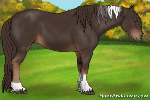 Horse Color:Liver Chestnut Tobiano 