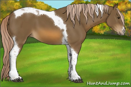 Horse Color:Chocolate Palomino Tobiano 