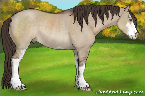 Horse Color:Liver Red Dun Sabino Rabicano 