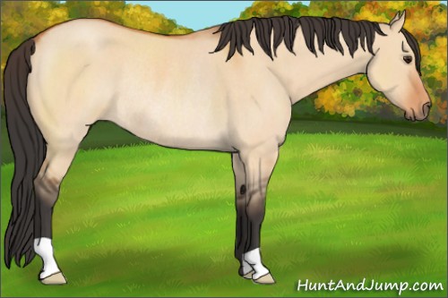 Horse Color:Bay Roan Dun Rabicano 