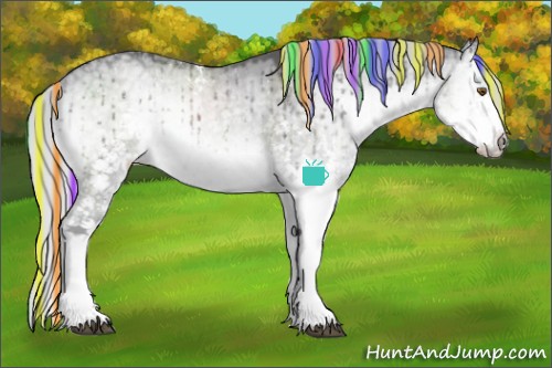 Horse Color:Painted White Spotted Silver Smoky Grullo Chinchilla Ice Onyx Splash Brindle 