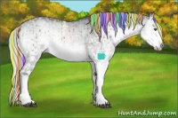 Horse Color:Painted White Spotted Silver Smoky Grullo Chinchilla Ice Onyx Splash Brindle 